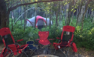 Camper-submitted photo from Spruces - Big Cottonwood