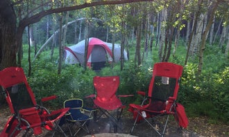 Camping near Lake Blanche Trail - Backcountry Camp: Spruces - Big Cottonwood, Mounthaven, Utah