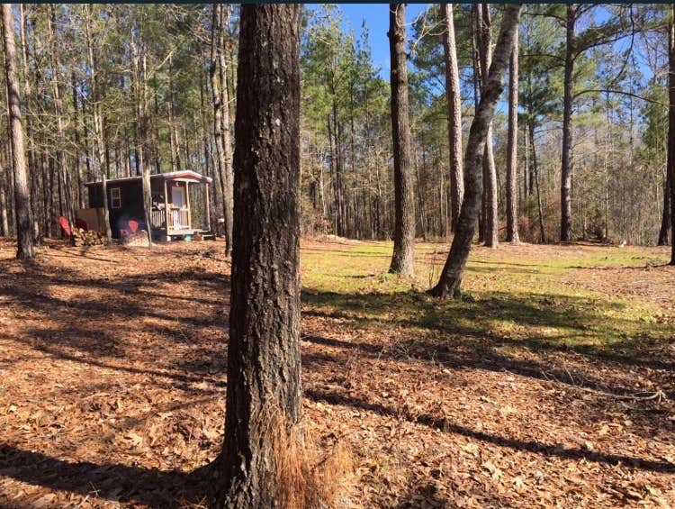 Camper-submitted photo at The Hollow at Triple Threat Farm near Montezuma, GA