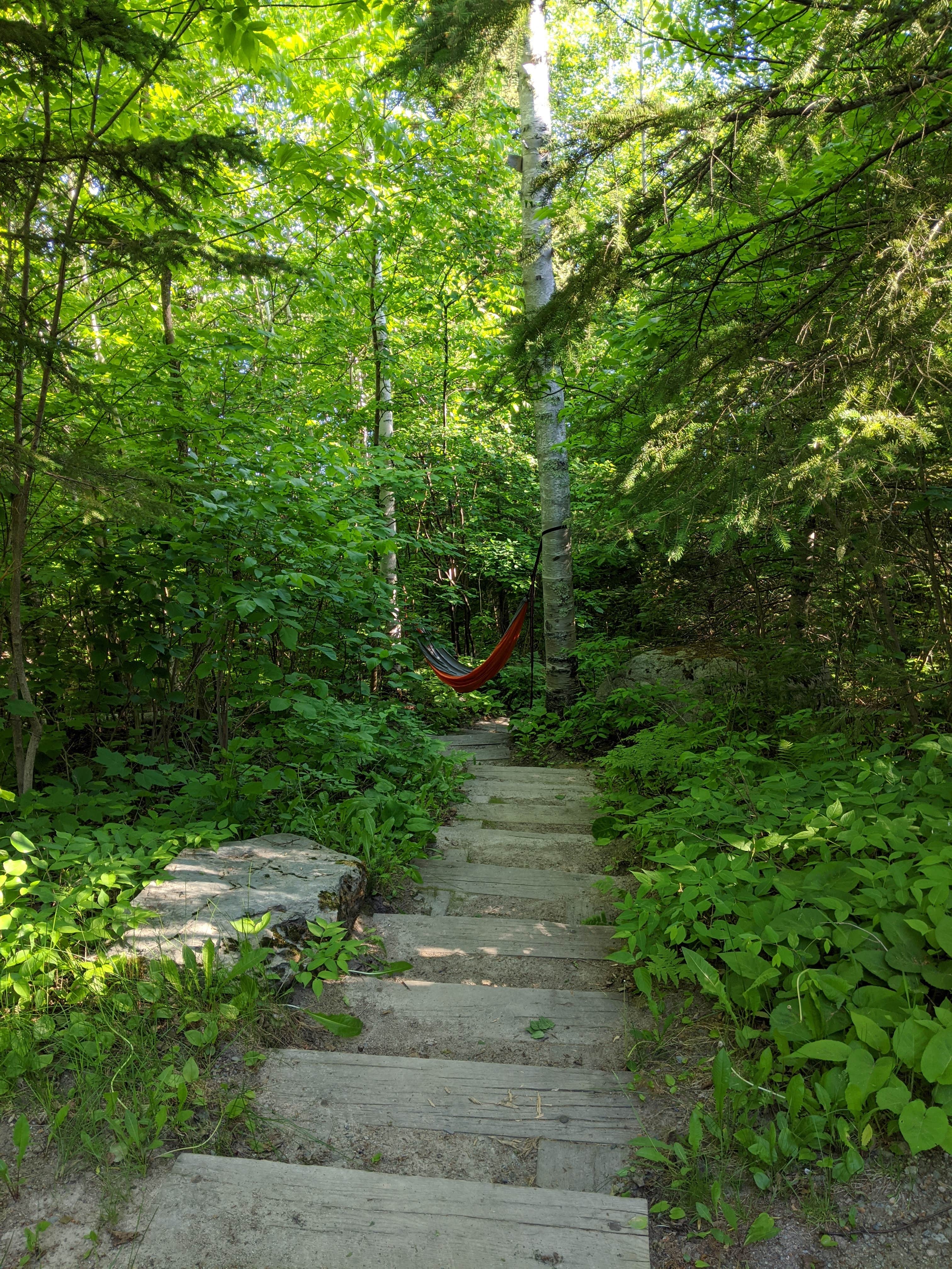 Stairs leading to the lake