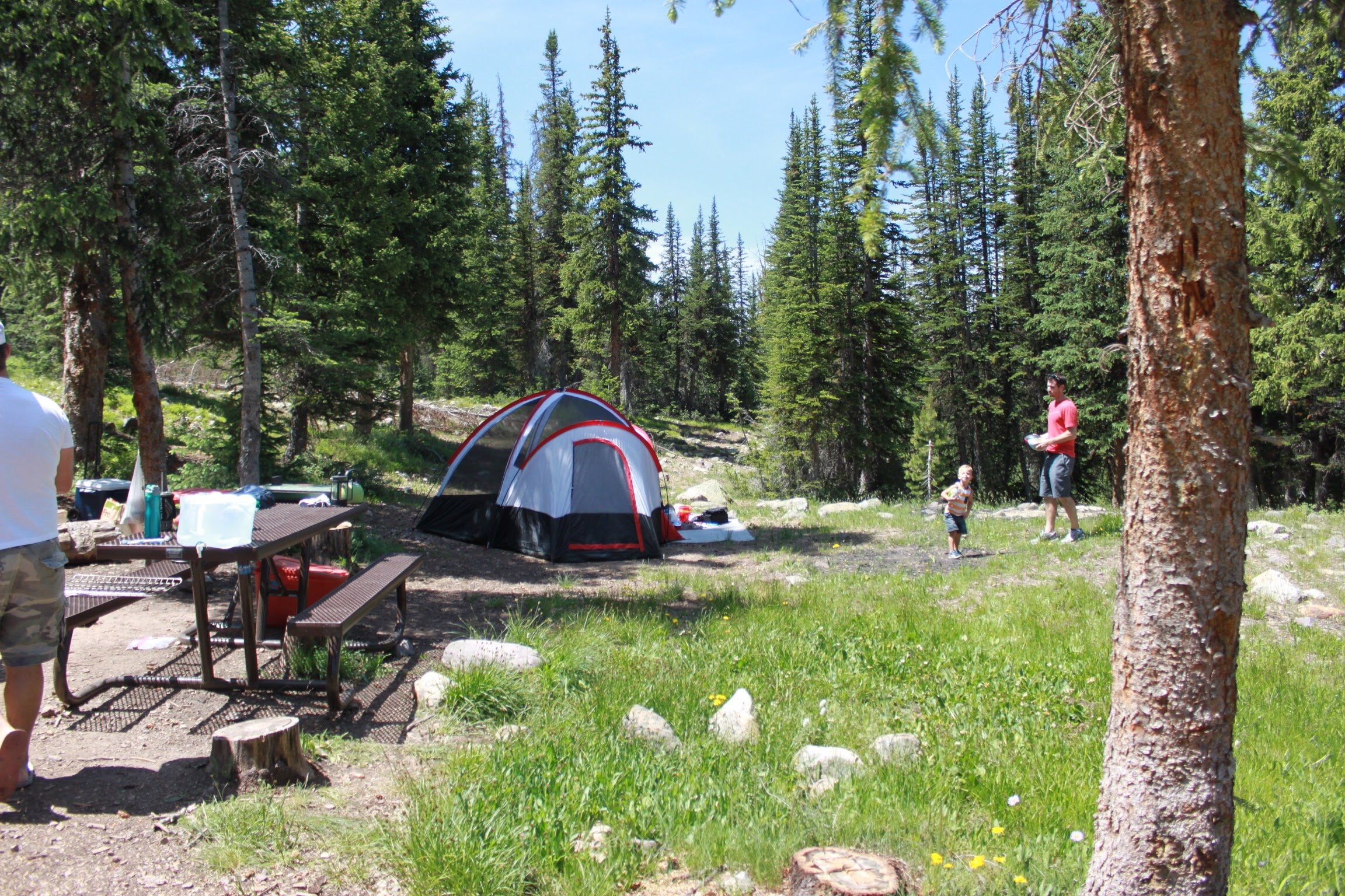 Camper submitted image from Lost Creek Campground - 5
