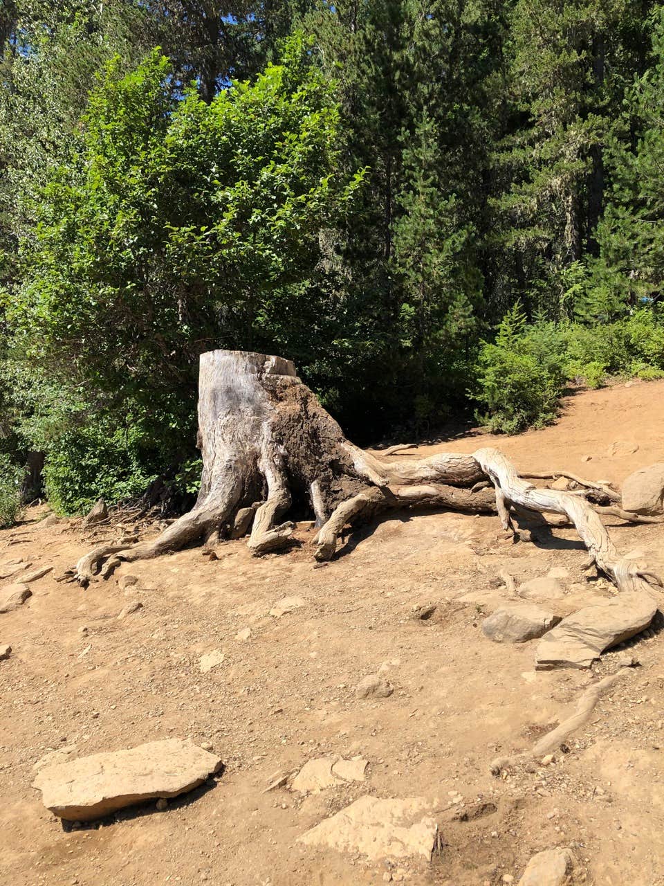 Camping With the Kids at Goose Lake Campground in Washington – Mom Life in  the PNW