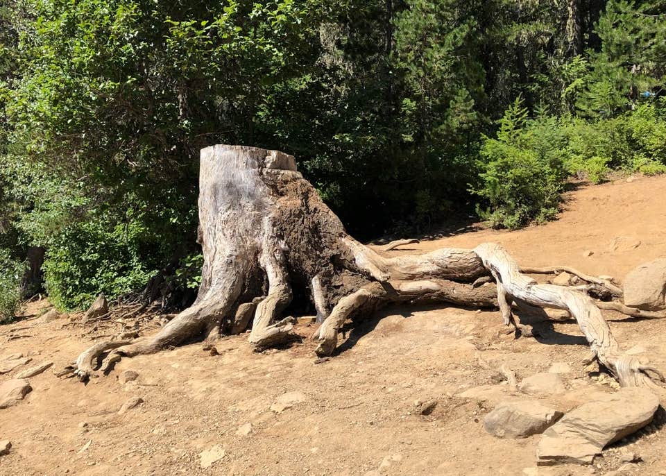 Goose Lake Campground Camping The Dyrt