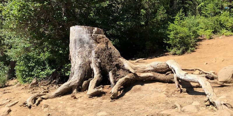 Camper submitted image from Goose Lake Campground