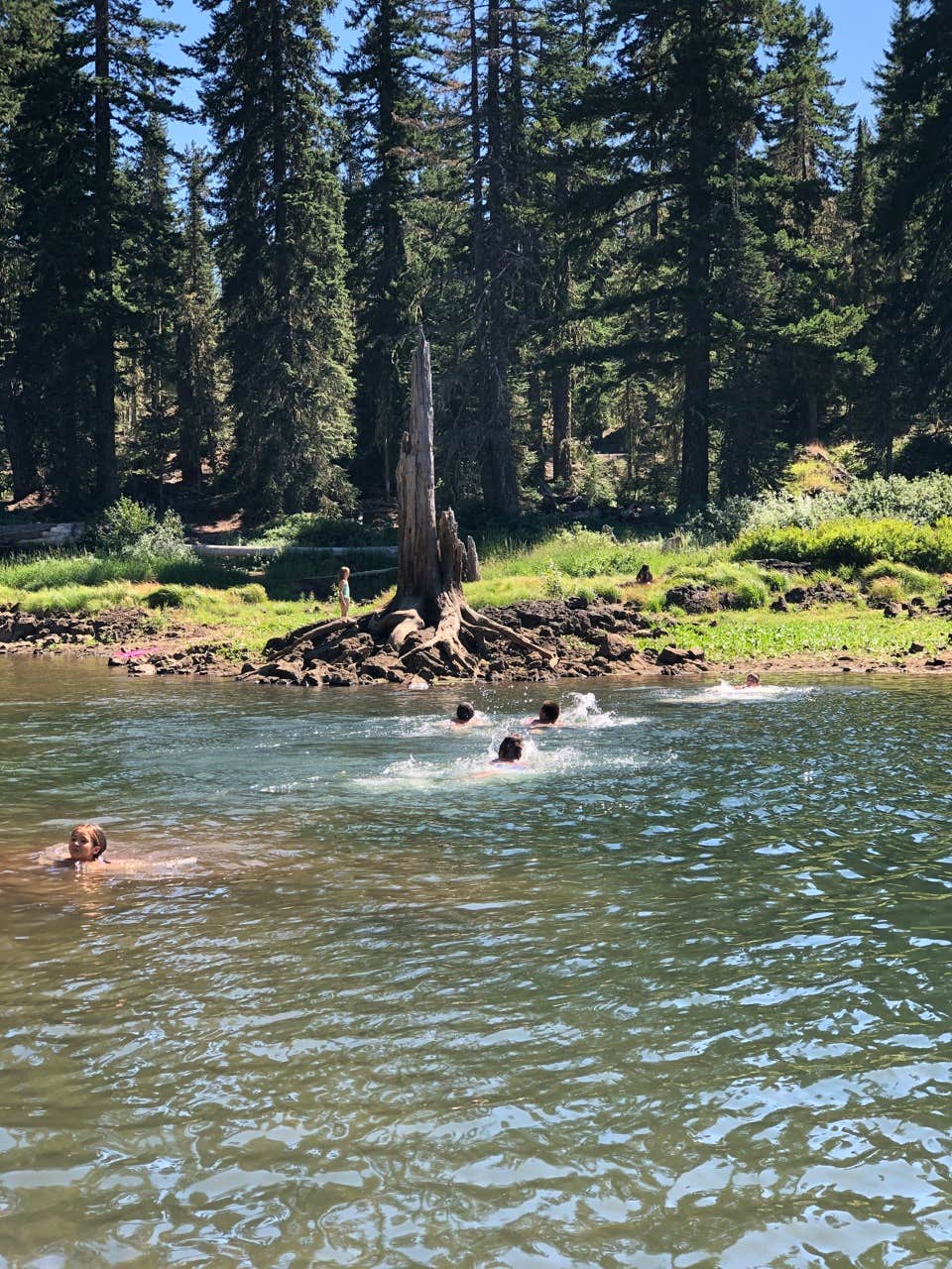 Goose Lake Campground The Dyrt