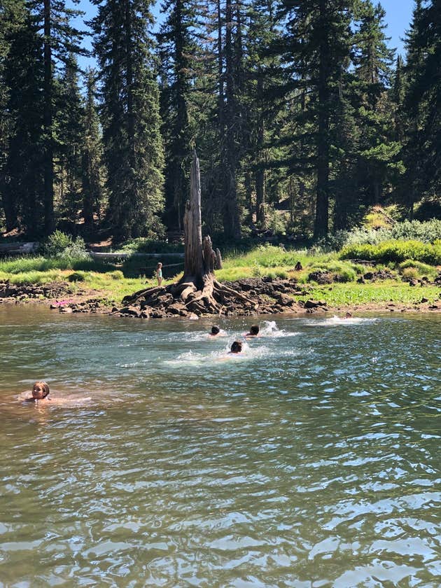 Goose Lake Campground The Dyrt