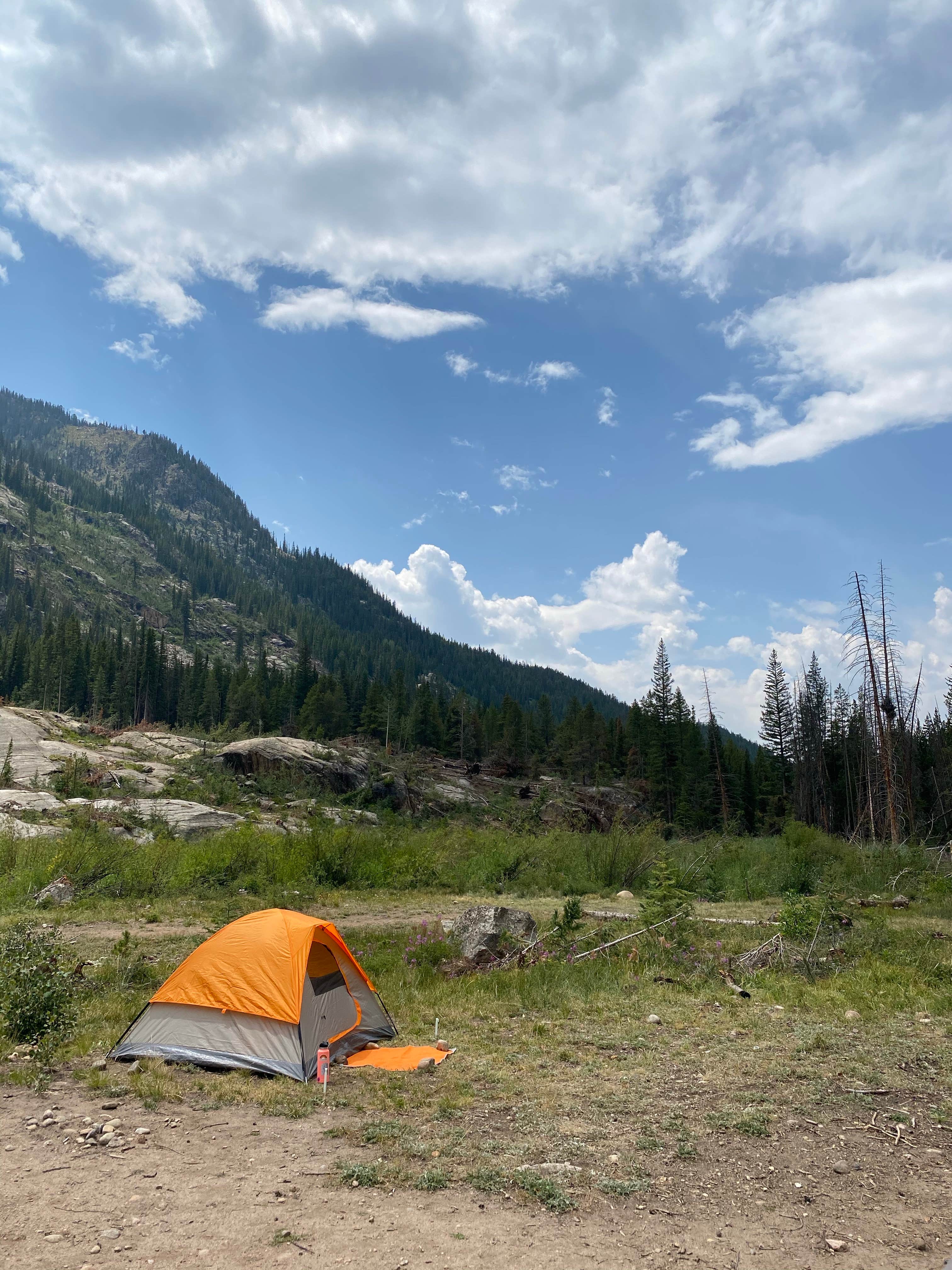 Nicholas P.'s photo of a dispersed camping area at Lincoln Creek Dispersed Campground near Snowmass Village, CO