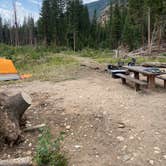 Review photo of Lincoln Creek Dispersed Campground by Nicholas P., August 6, 2020