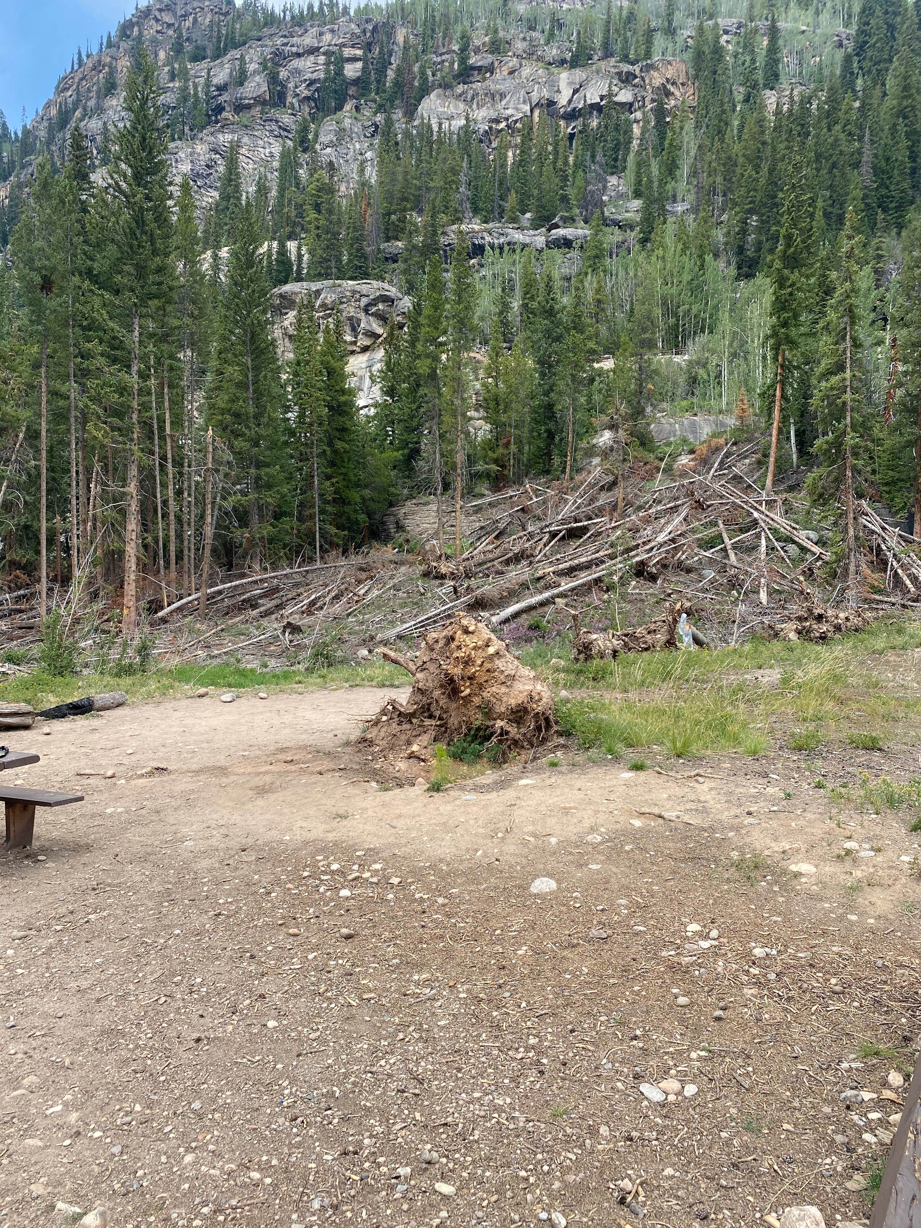 Lincoln Creek Dispersed Campground
