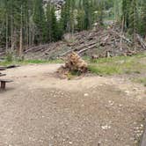 Review photo of Lincoln Creek Dispersed Campground by Nicholas P., August 6, 2020
