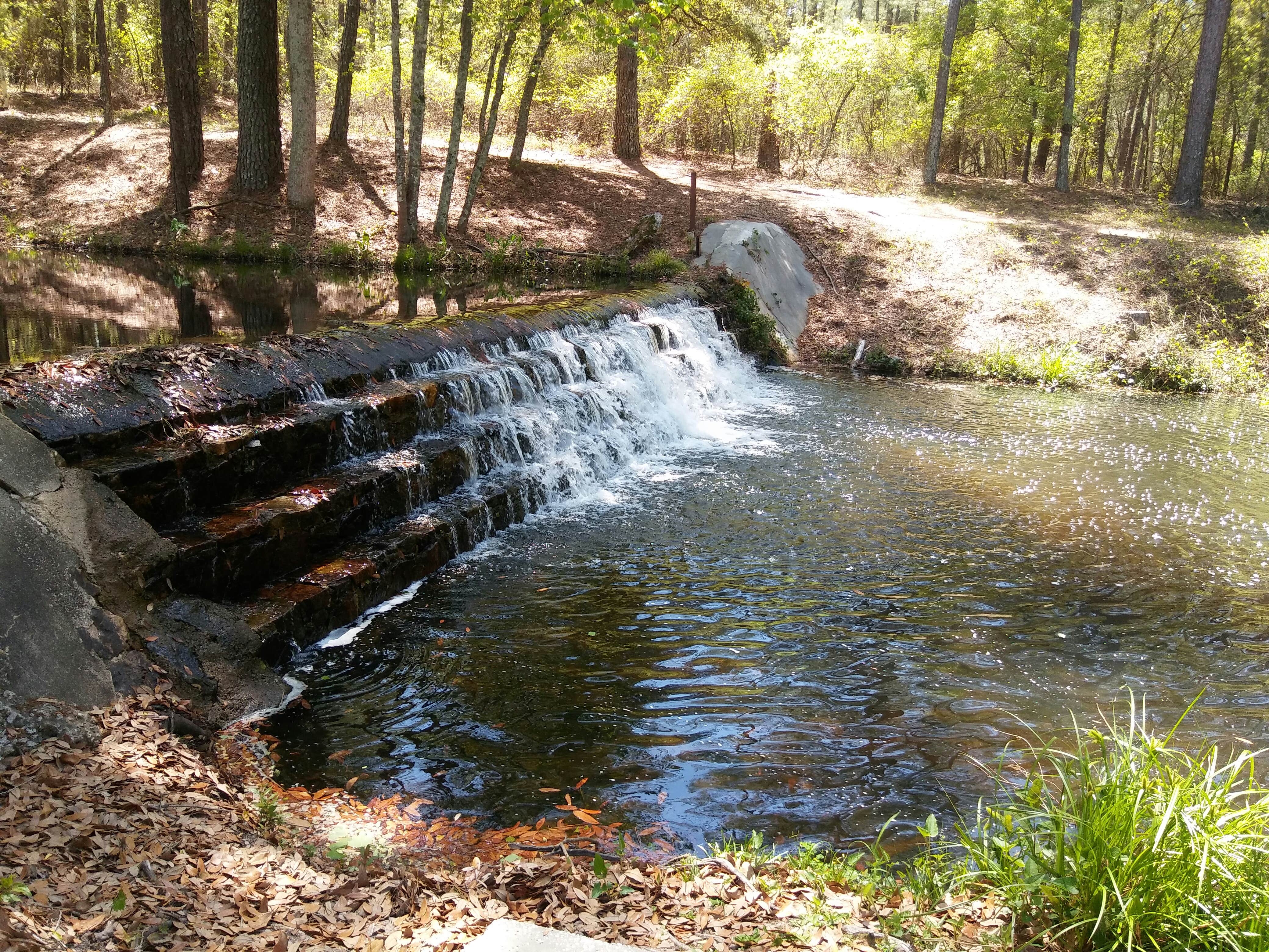 Camper-submitted photo at Sesquicentennial State Park Campground near Elgin, SC