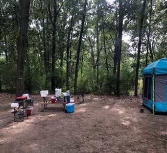 Camper-submitted photo from Waterloo Sugarloaf Modern — Waterloo Recreation Area