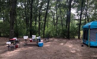 Alaine S.'s photo at Green Lake Rustic Campground — Waterloo Recreation Area near Williamston, MI