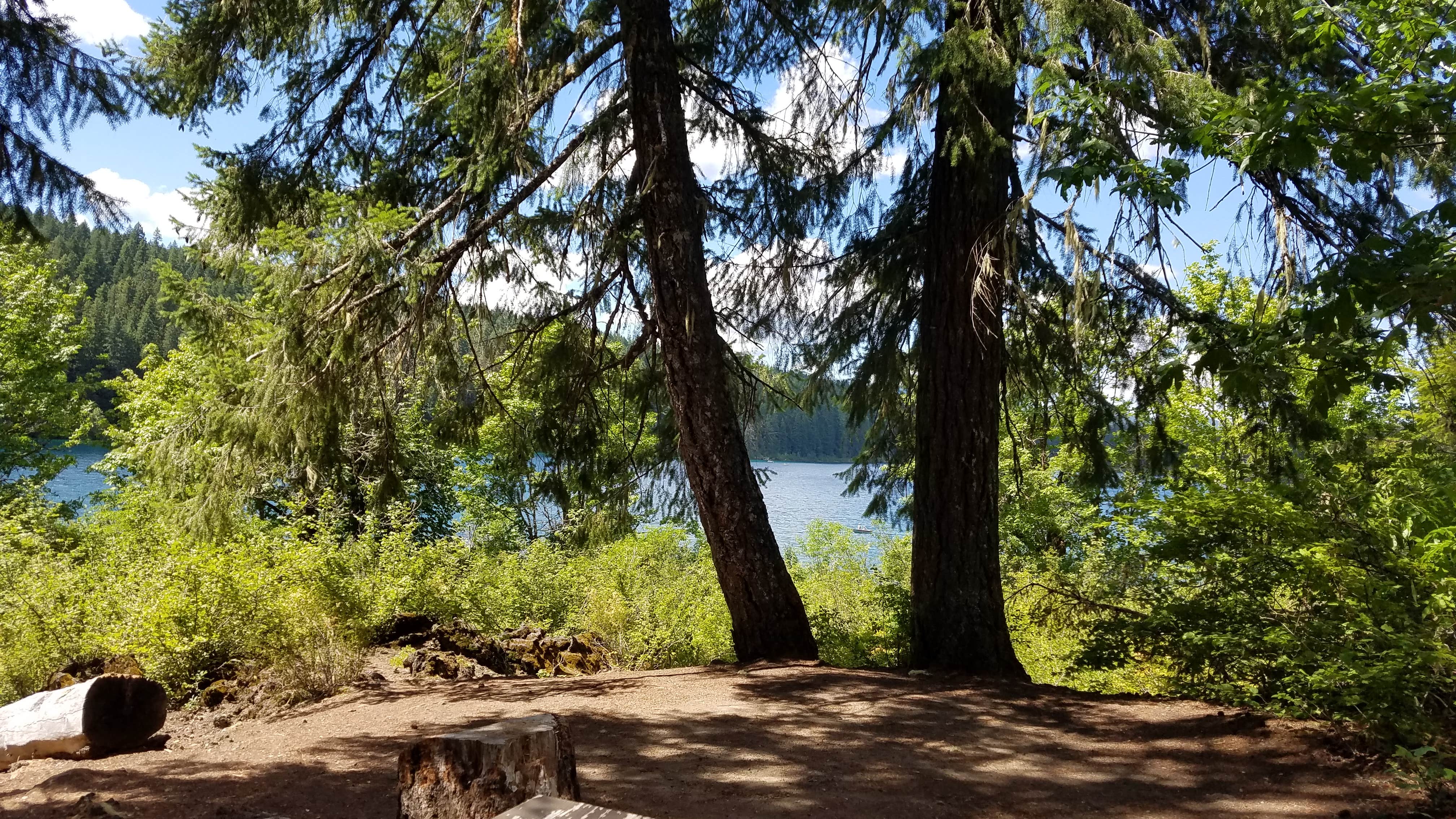 Cold Water Cove The Dyrt