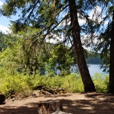 Review photo of Coldwater Cove Campground by Gayle B., August 6, 2020