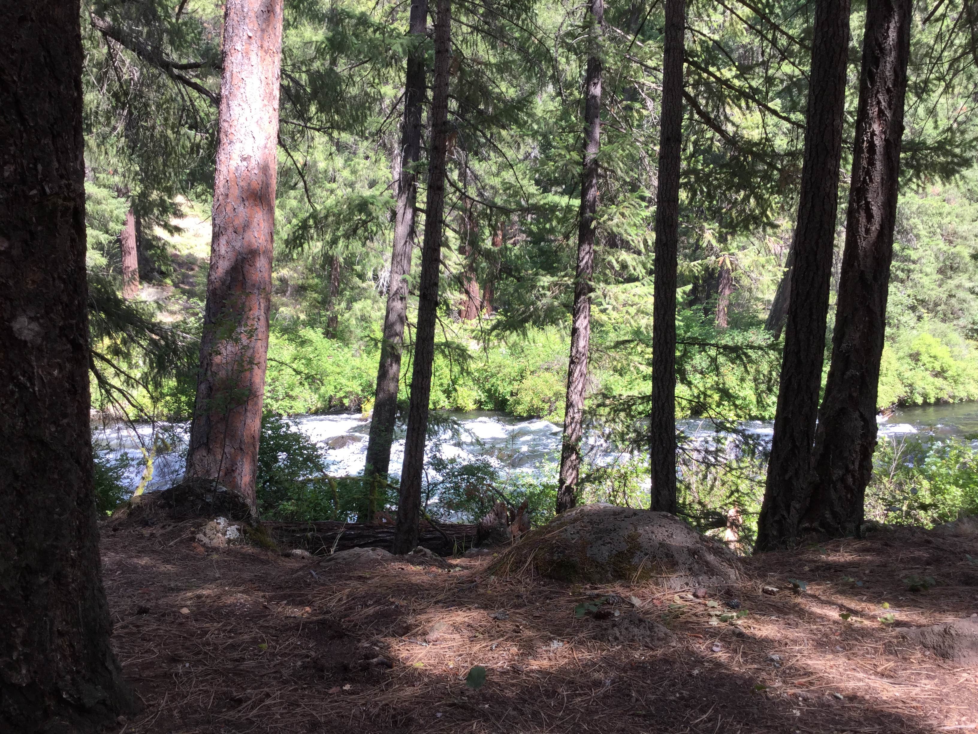 Candle Creek Campground The Dyrt