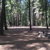 Review photo of Candle Creek Campground by Gayle B., August 6, 2020