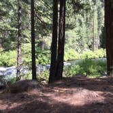 Review photo of Candle Creek Campground by Gayle B., August 6, 2020