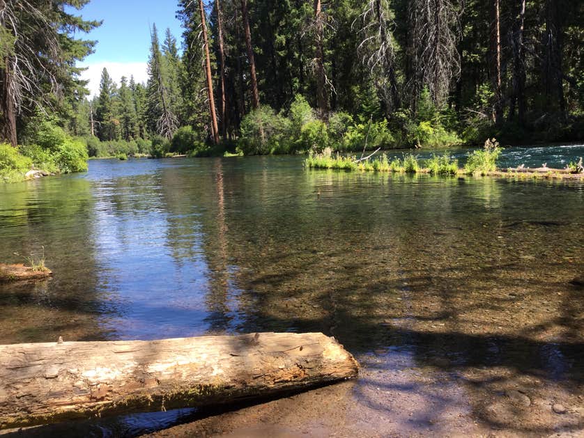 Candle Creek Campground The Dyrt