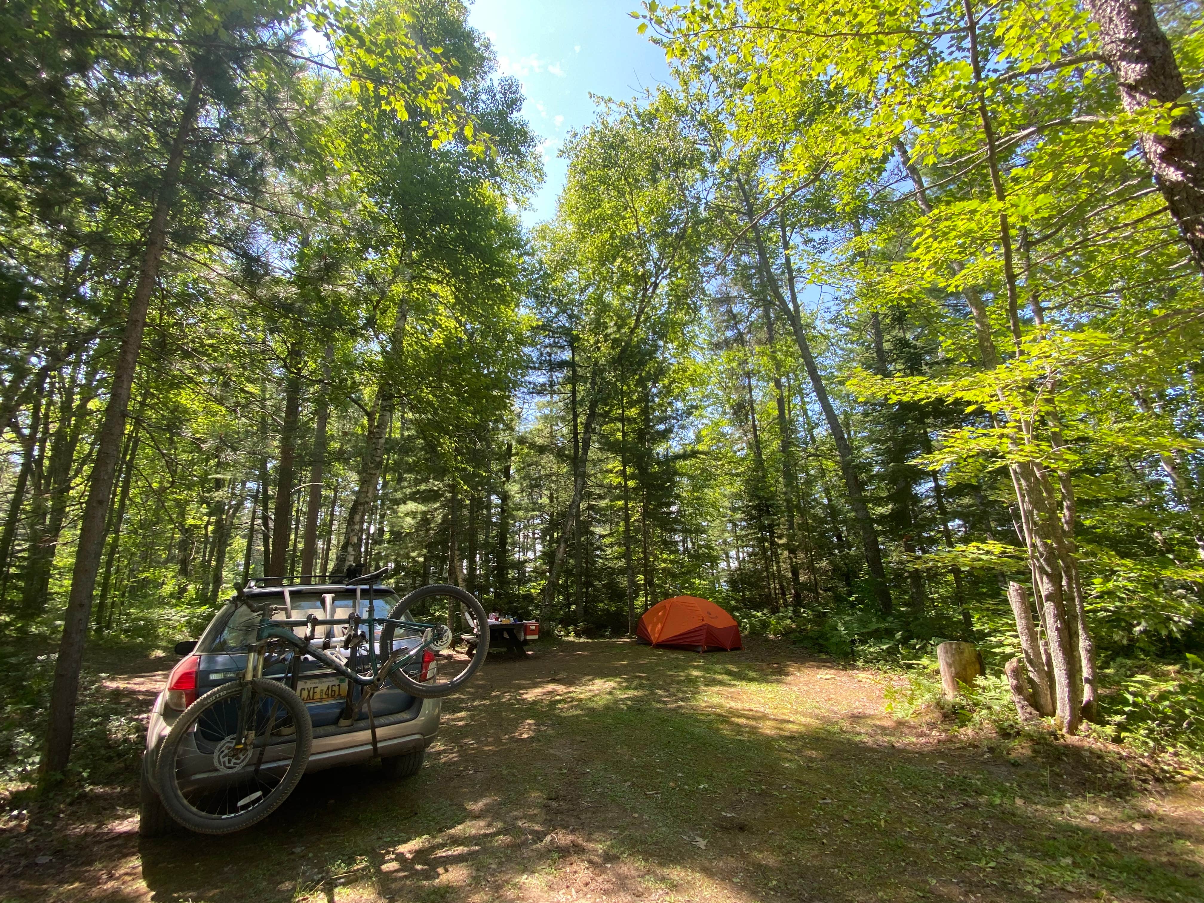 Camper submitted image from Blind Sucker #2 State Forest Campground - 5