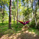 Review photo of Blind Sucker #2 State Forest Campground by Jenna T., August 6, 2020