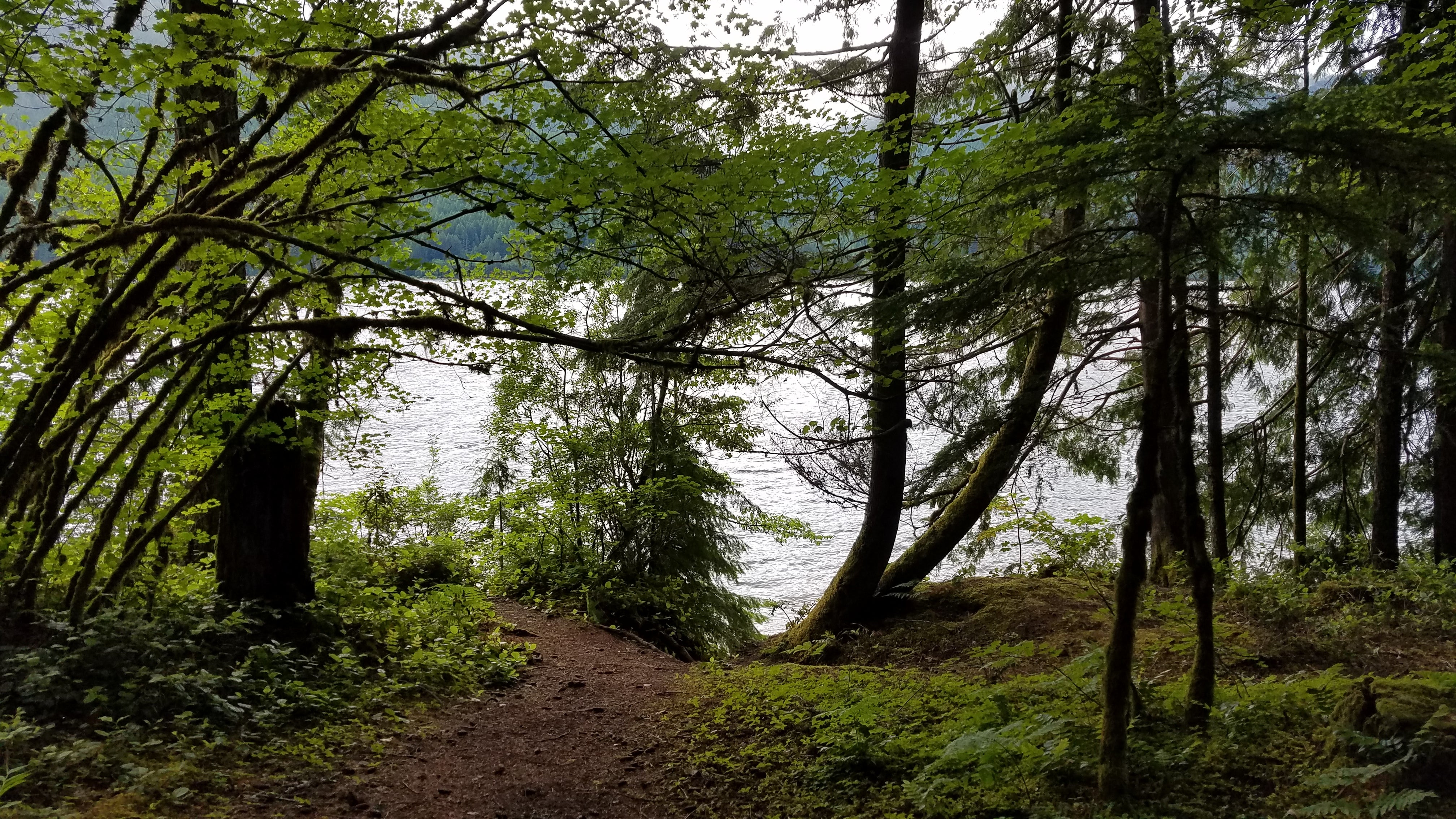 Site #17 - Trail to lake