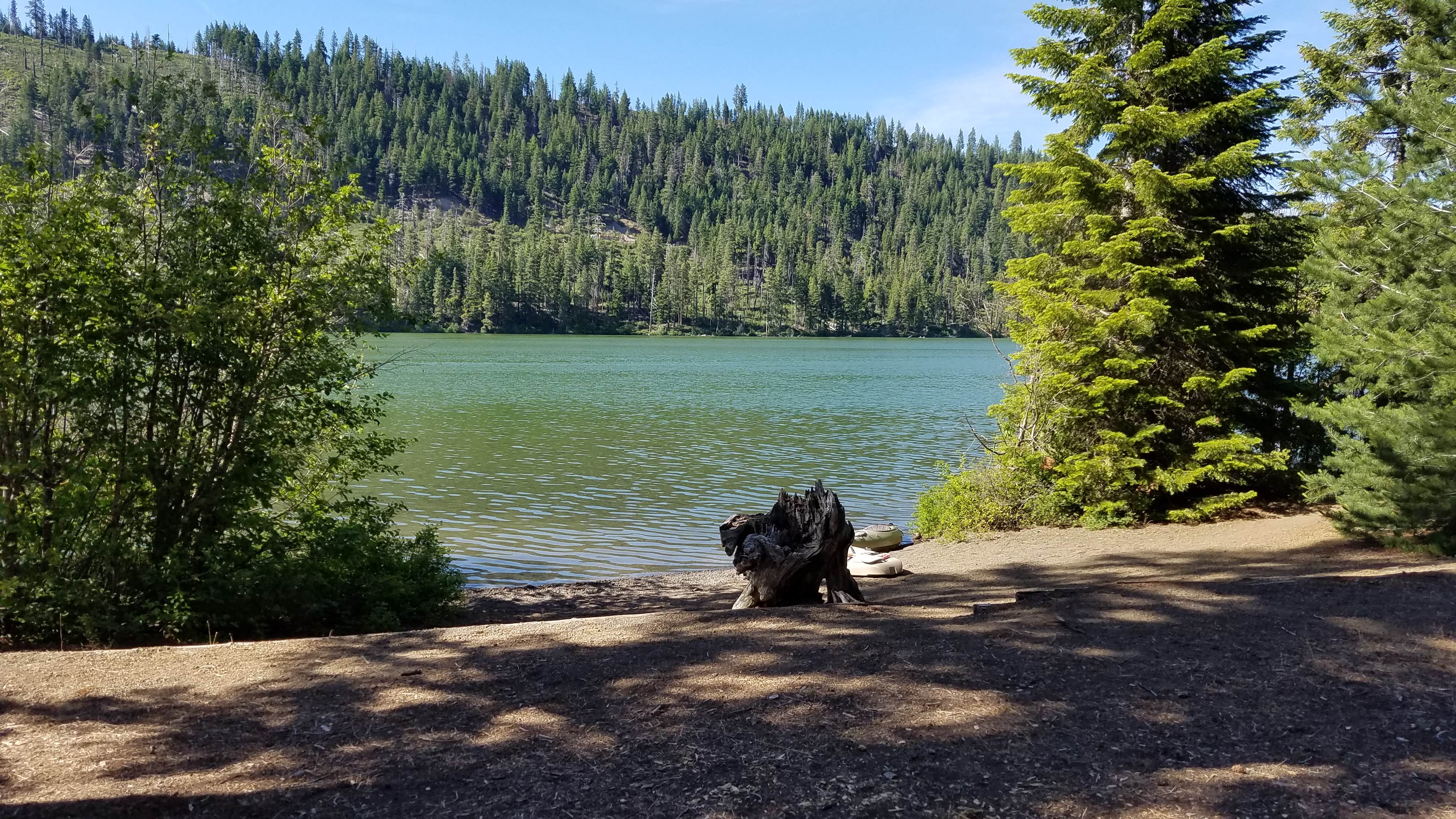 Gayle B.'s photo of camping with pets at South Shore Suttle Lake near Sisters, OR