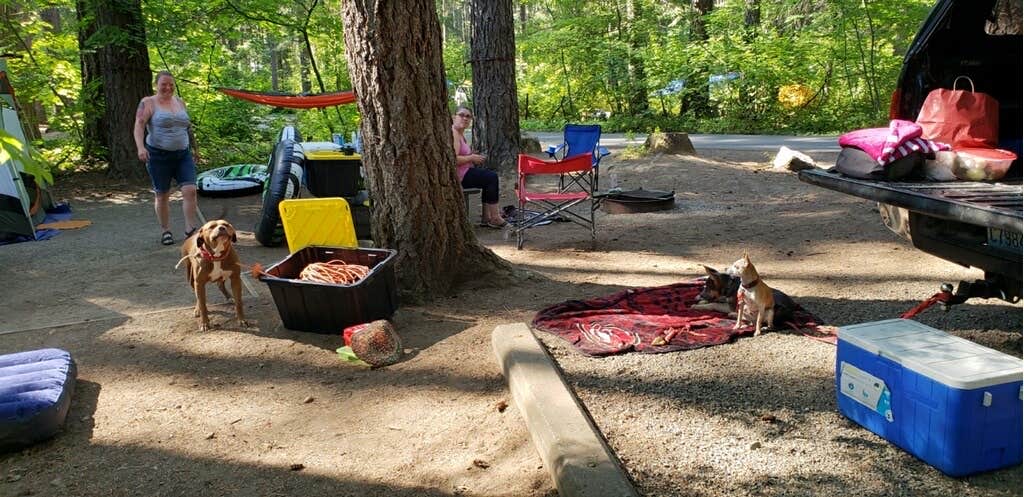 Ginger M.'s photo of camping with pets at Lake Easton State Park Campground near Greenwater, WA