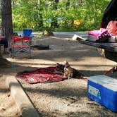 Review photo of Lake Easton State Park Campground by Ginger M., August 6, 2020