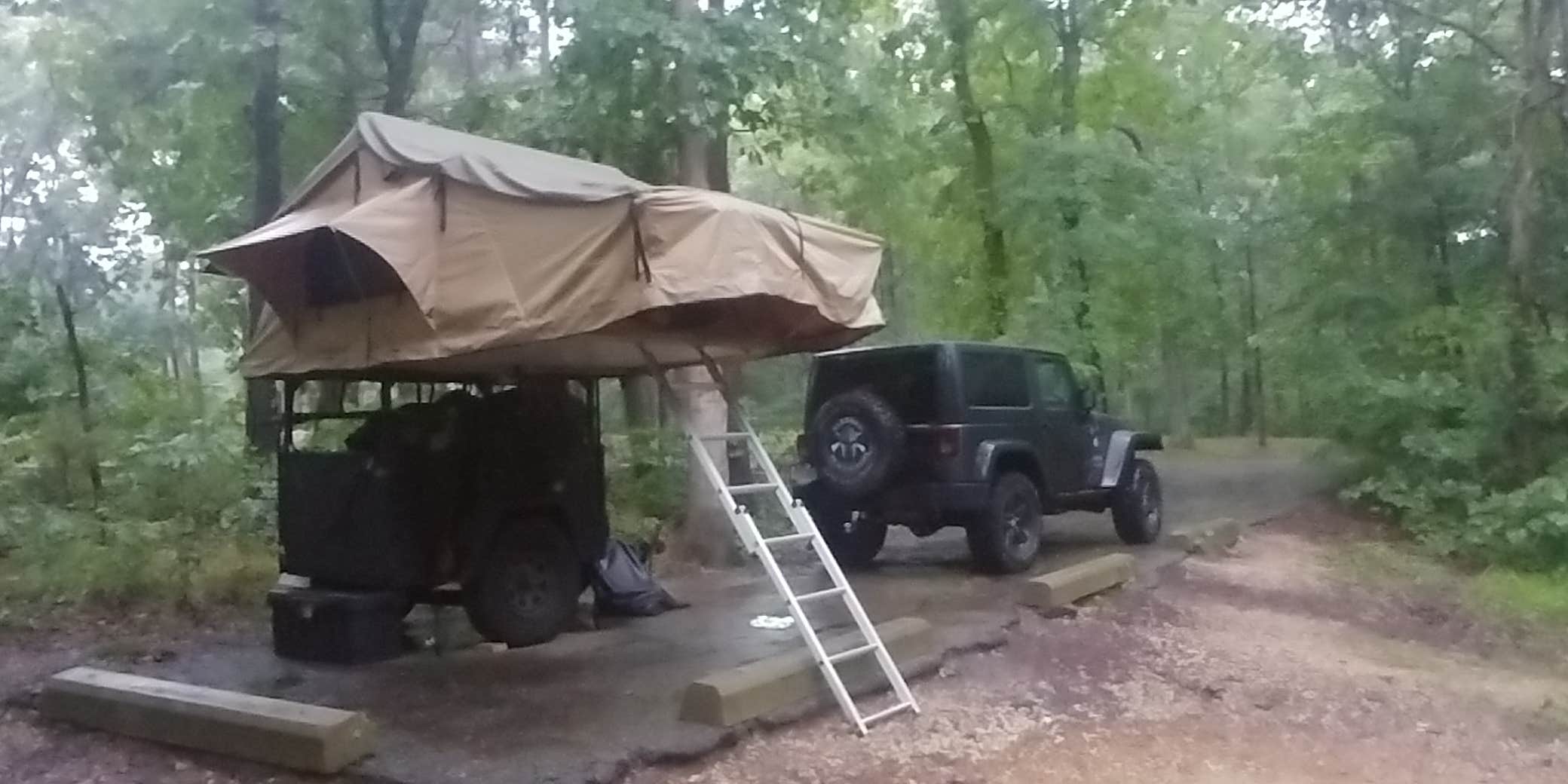 Fred B.'s photo of a dispersed camping area at Pine Ridge Recreation Area near New Bloomfield, MO