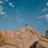 Review photo of Alabama Hills Recreation Area by Erin & Travis  M., August 6, 2020