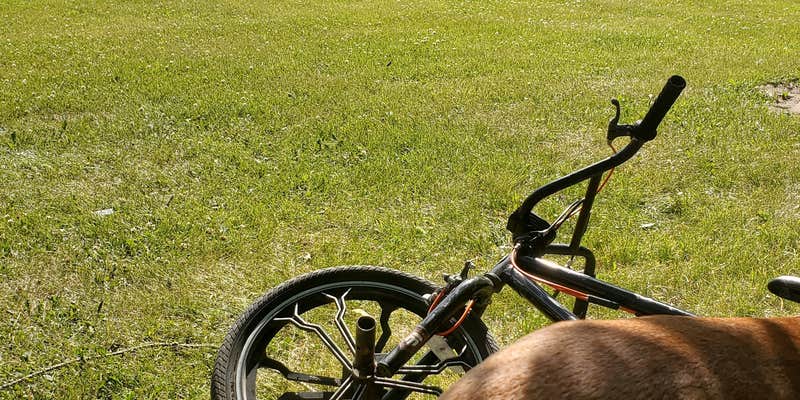 Camper submitted image from El Rancho Manana Campgrounds & Riding Stable