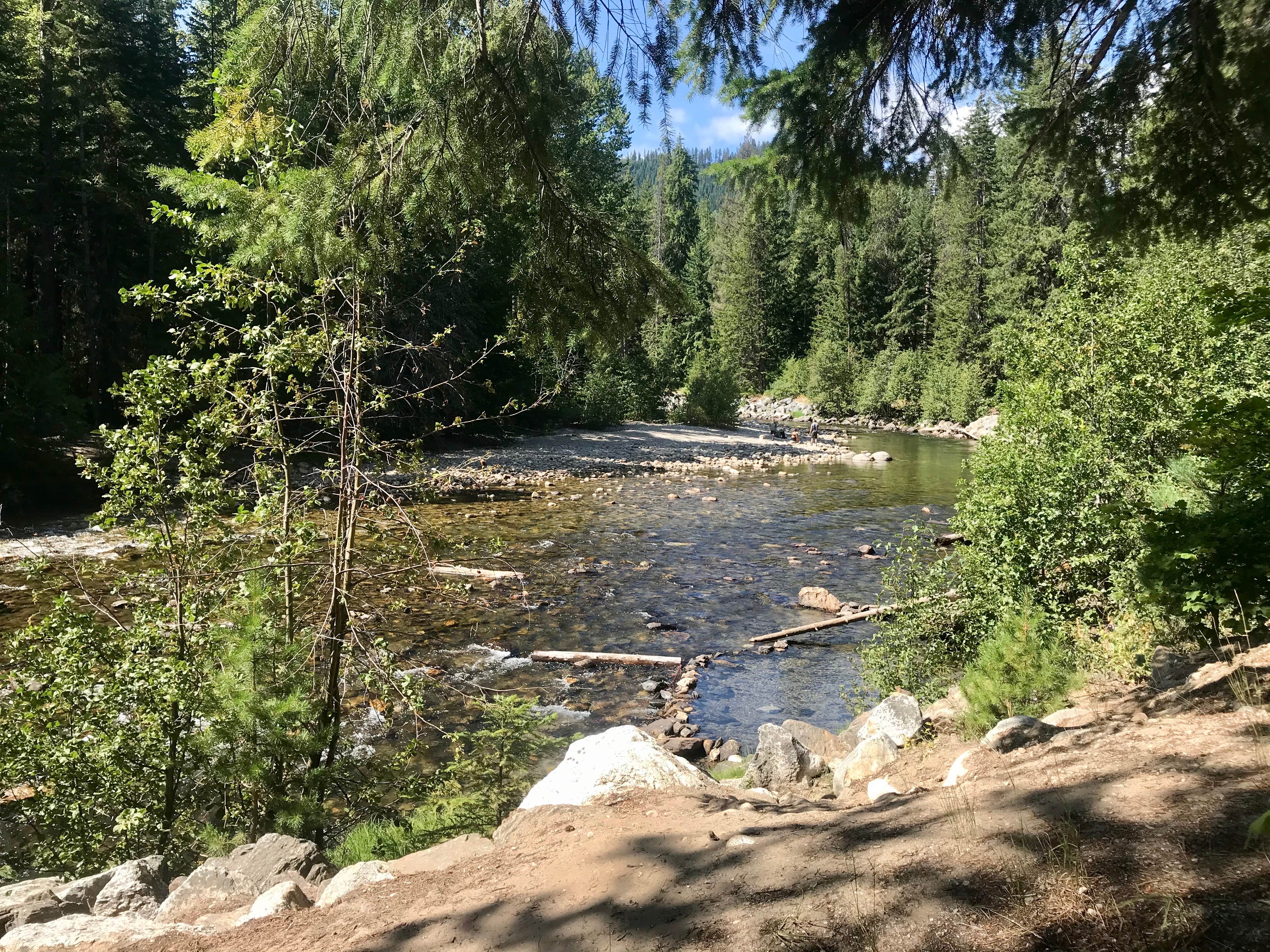 View All