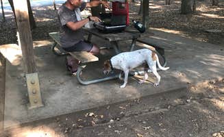 Becky P.'s photo of camping with pets at Loyd Park near Ennis, TX