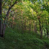 Review photo of Lake Maria State Park Campground by Cassie D., August 7, 2020