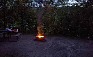 Cassie D.'s photo at Lake Maria State Park Campground near Zimmerman, MN