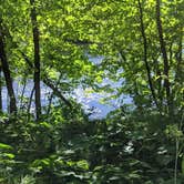 Review photo of Lake Maria State Park Campground by Cassie D., August 7, 2020