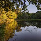 Review photo of Lake Maria State Park Campground by Cassie D., August 7, 2020