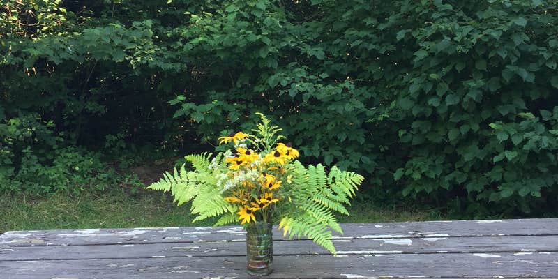 Camper submitted image from Fourmile Lk Rustic Campground & Backcountry Sites