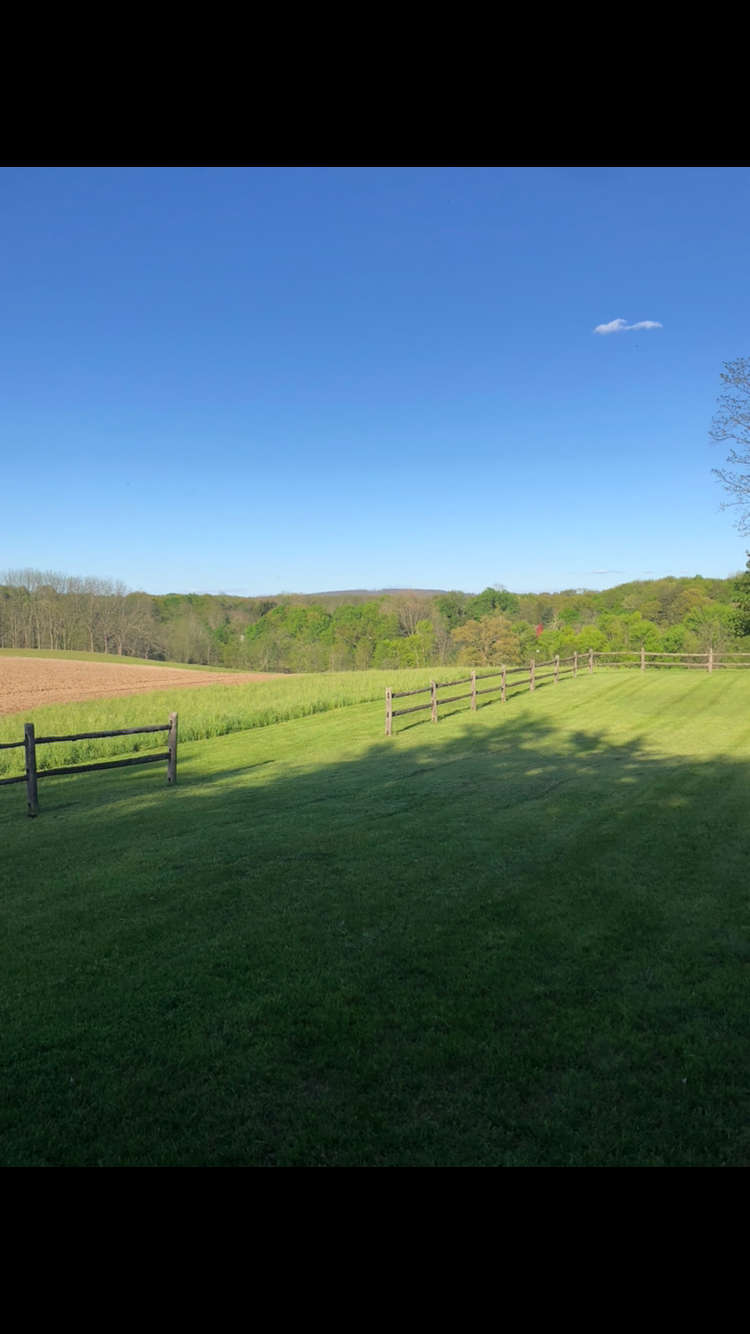 Camper submitted image from Historic Hudson Valley Riverside Hemp Farm - 2