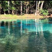 Review photo of Gilchrist Blue Springs State Park Campground by Ilena R., August 7, 2020