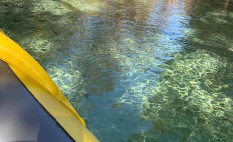 Ilena R.'s photo at Gilchrist Blue Springs State Park Campground near High Springs, FL
