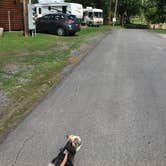 Review photo of Riverside Campground by Lee M., August 7, 2020