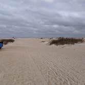 Review photo of Anastasia State Park Campground by Brandie B., August 7, 2020