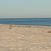 Review photo of Dr. Julian G. Bruce St. George Island State Park Campground by Brandie B., August 7, 2020