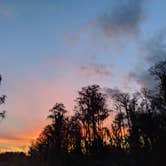 Review photo of Lake Louisa State Park Campground by Brandie B., August 7, 2020