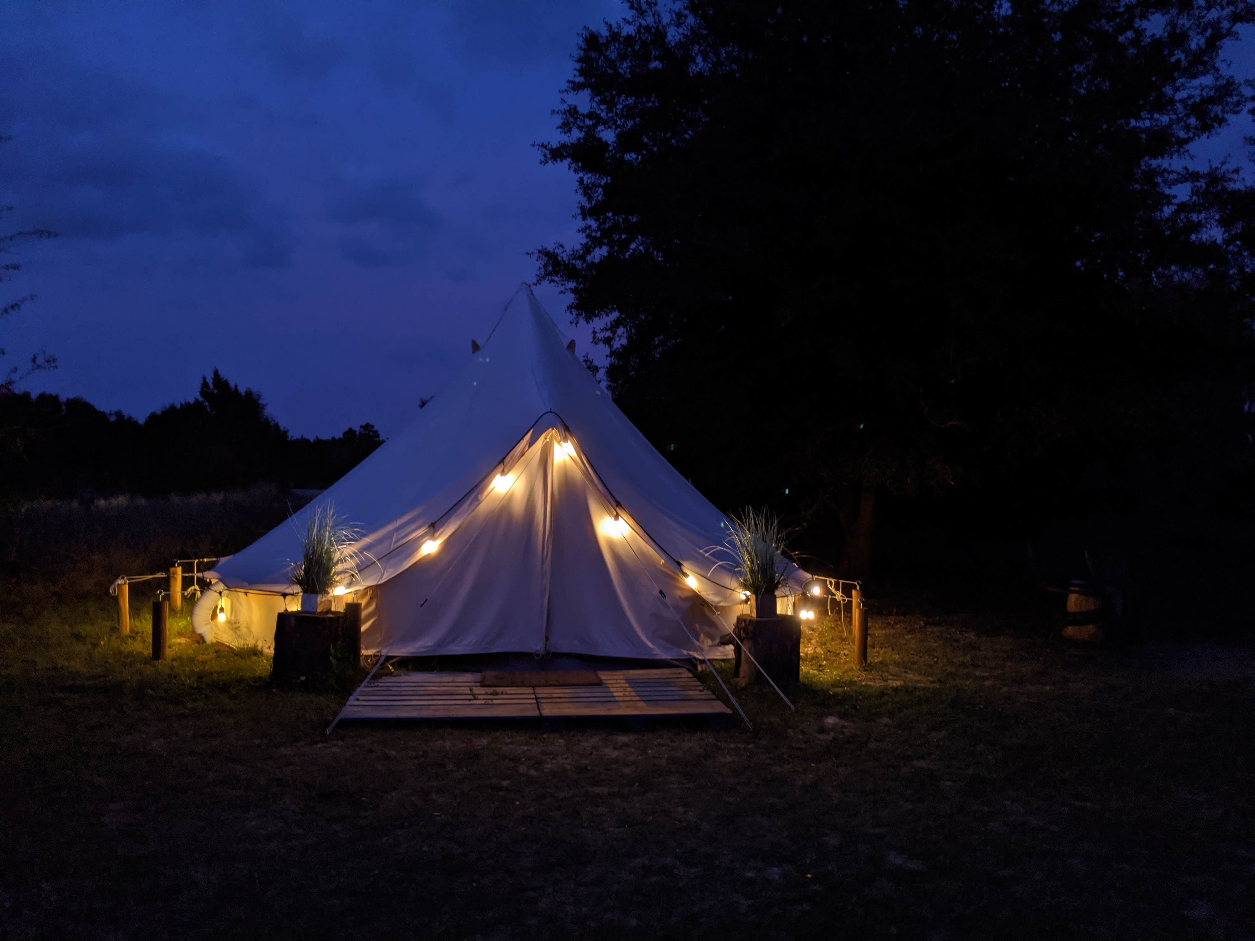 Brandie B.'s photo at Lake Louisa State Park Campground near Oakland, FL