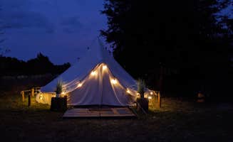Brandie B.'s photo at Lake Louisa State Park Campground near Clermont, FL