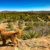 Review photo of Juniper Family Campground — Bandelier National Monument by Heather Y., April 18, 2018