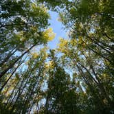 Review photo of Cayuga Lake State Park Campground by Laura Nicole A., August 7, 2020